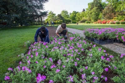 Corso Personalizzato Triennale per “OPERATORE AGRICOLO”: addetto alle coltivazioni arboree, erbacee e ortofloricole”