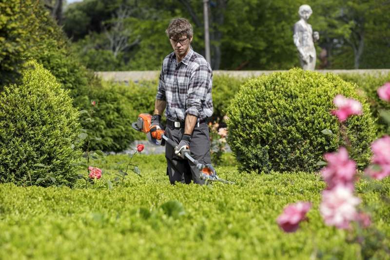 specializzazionegiardiniere