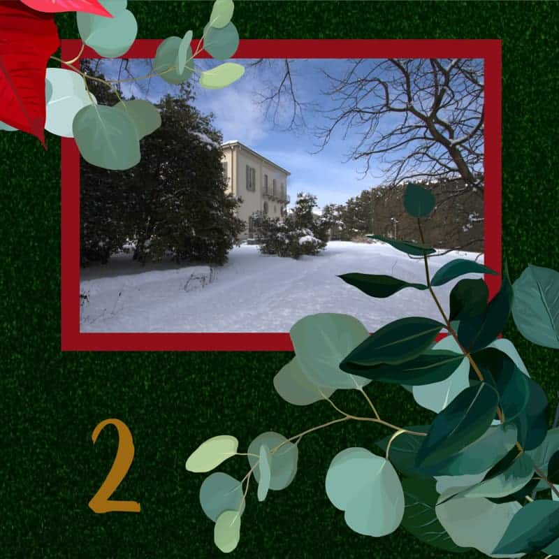 2-dicembre