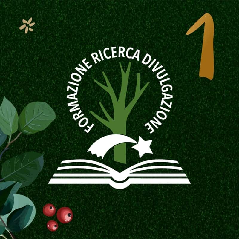 1-dicembre