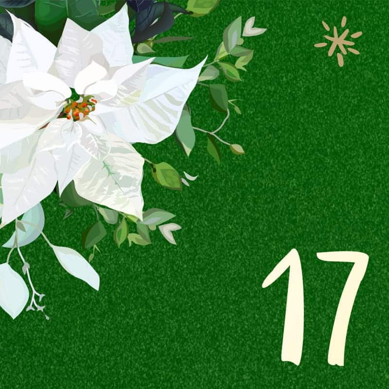 17-dicembre