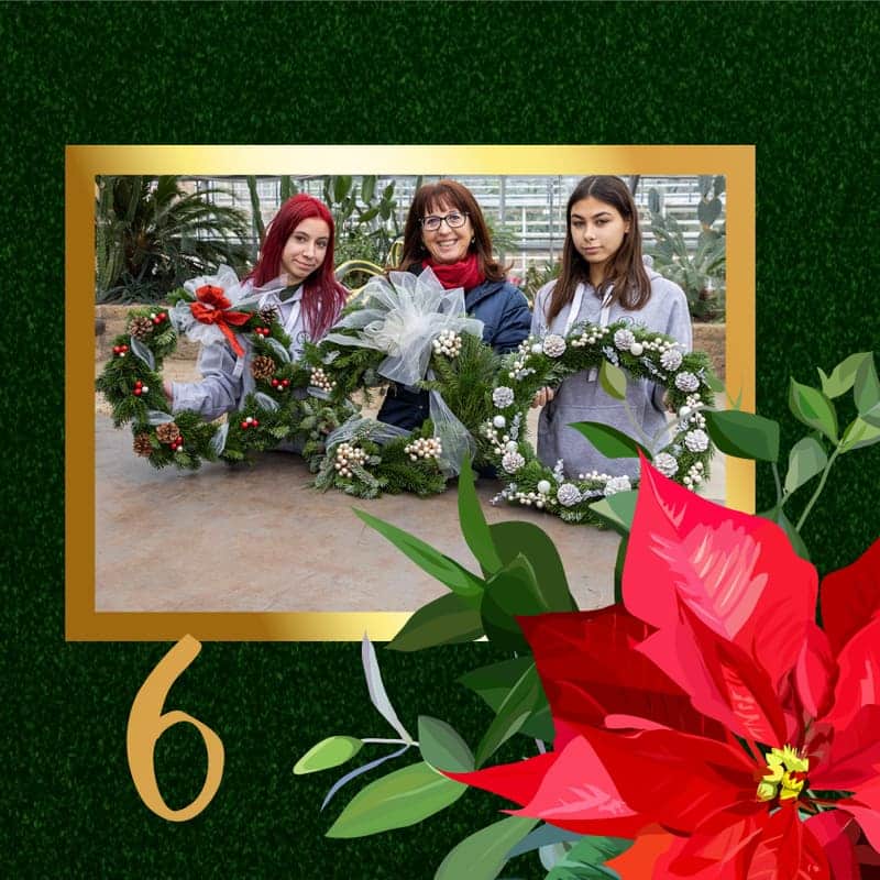 6-dicembre