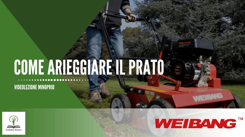 Come arieggiare il prato