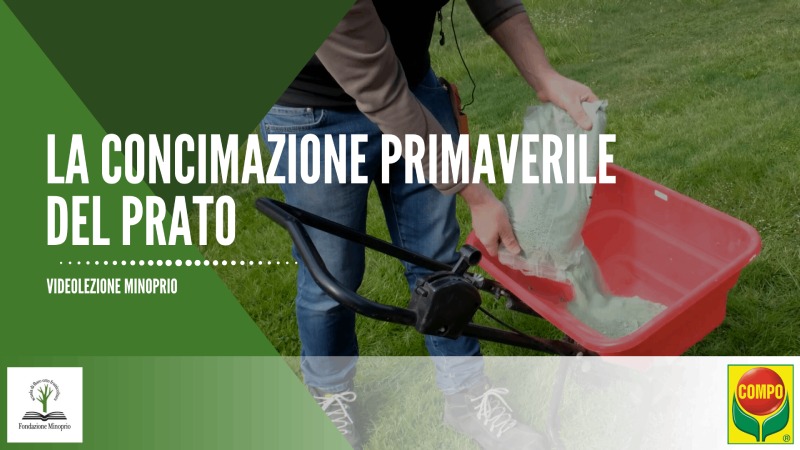La concimazione primaverile del prato