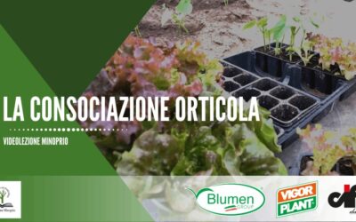 La consociazione orticola