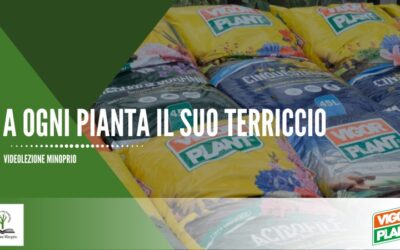A ogni pianta il suo terriccio
