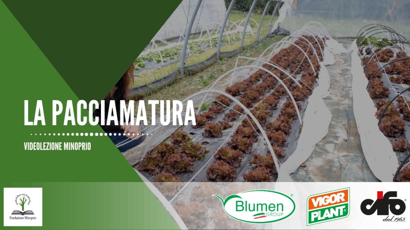 La pacciamatura