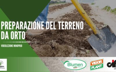 Preparazione del terreno da orto