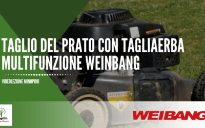 Taglio del prato con tagliaerba multifunzione Weibang