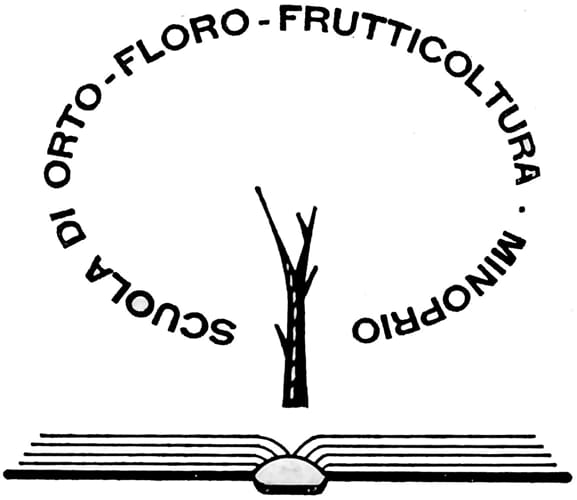 logo fondazioneminoprio 1962