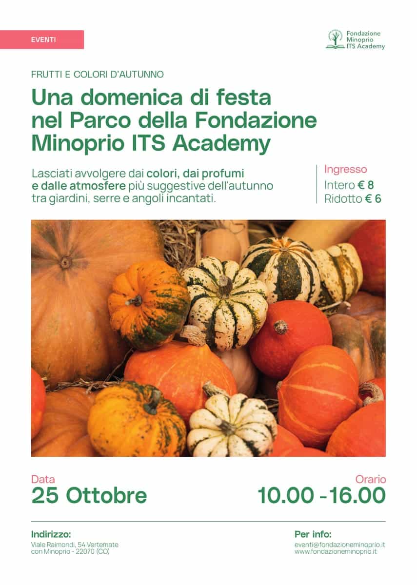 festa_zucca_1