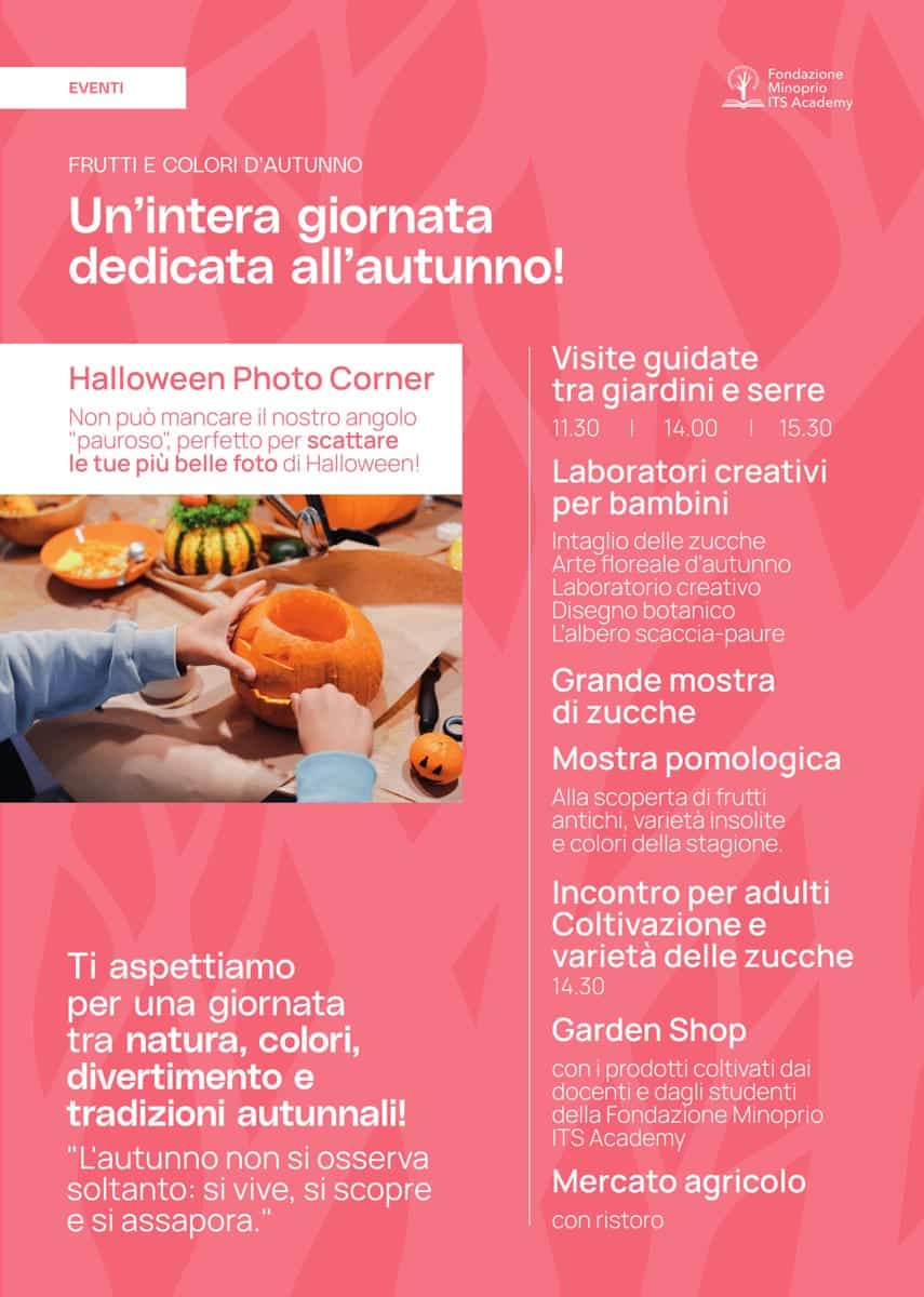 festa_zucca_2